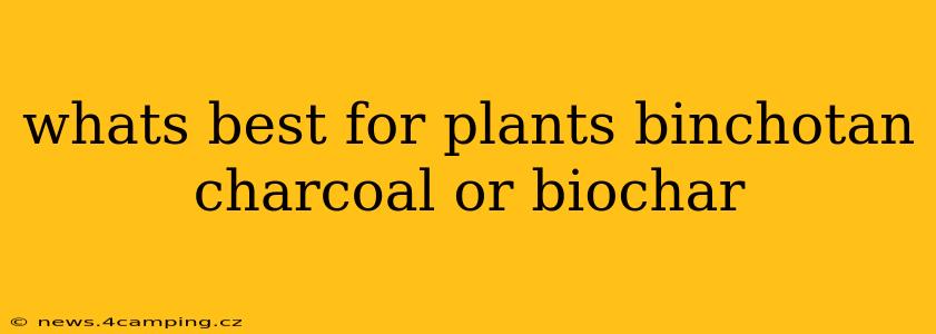 whats best for plants binchotan charcoal or biochar