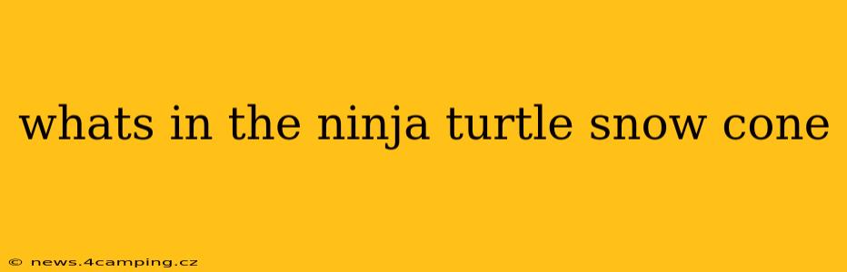 whats in the ninja turtle snow cone