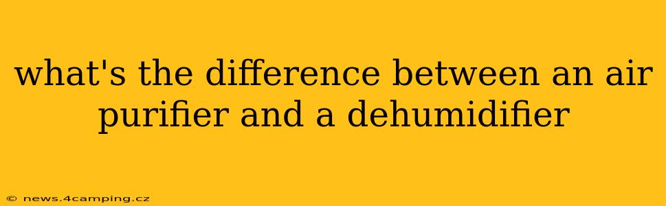 what's the difference between an air purifier and a dehumidifier