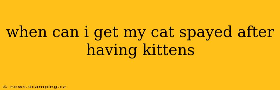 when can i get my cat spayed after having kittens