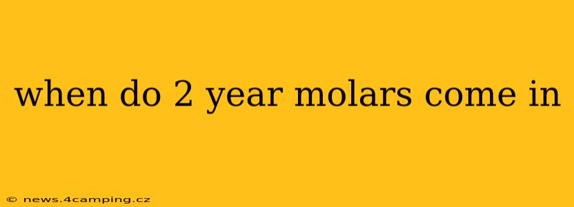 when do 2 year molars come in