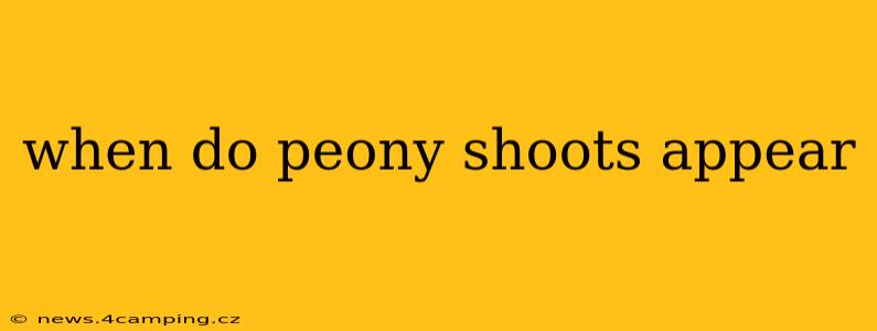 when do peony shoots appear