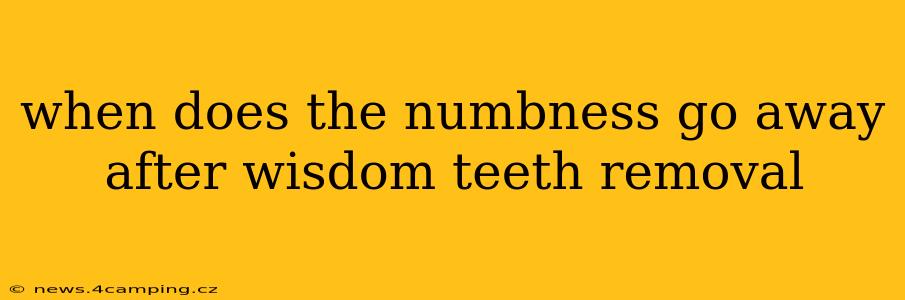 when does the numbness go away after wisdom teeth removal