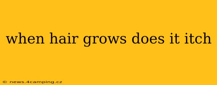 when hair grows does it itch