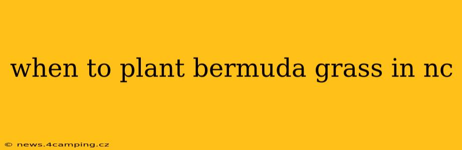 when to plant bermuda grass in nc