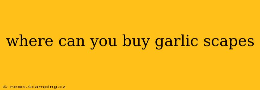 where can you buy garlic scapes