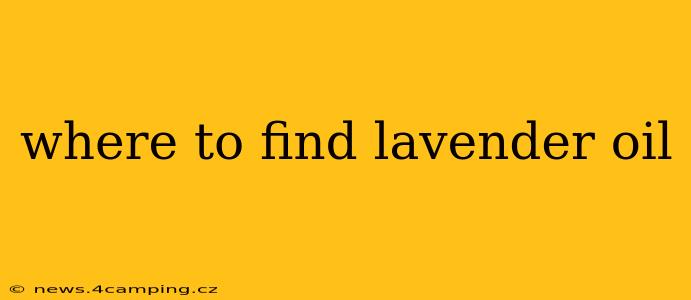 where to find lavender oil