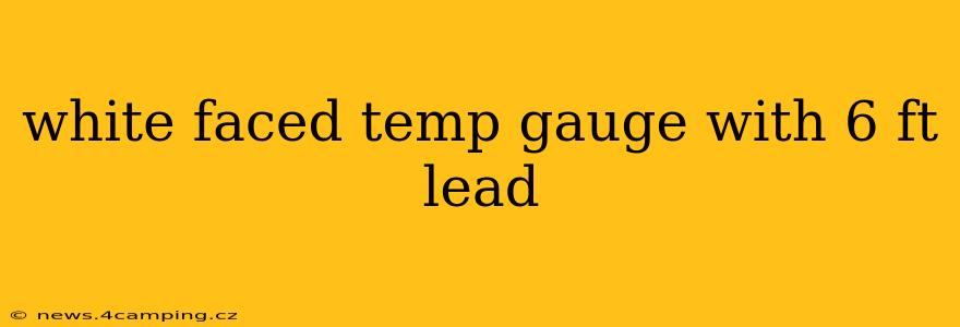 white faced temp gauge with 6 ft lead