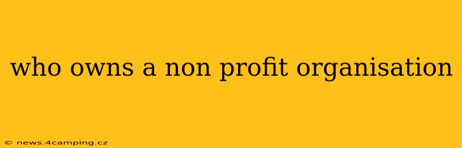 who owns a non profit organisation