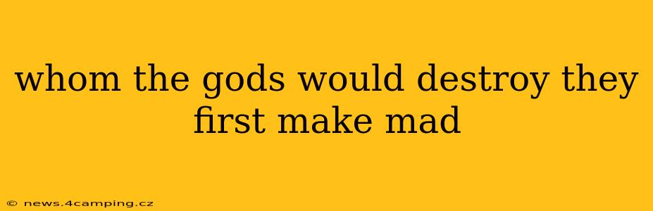 whom the gods would destroy they first make mad