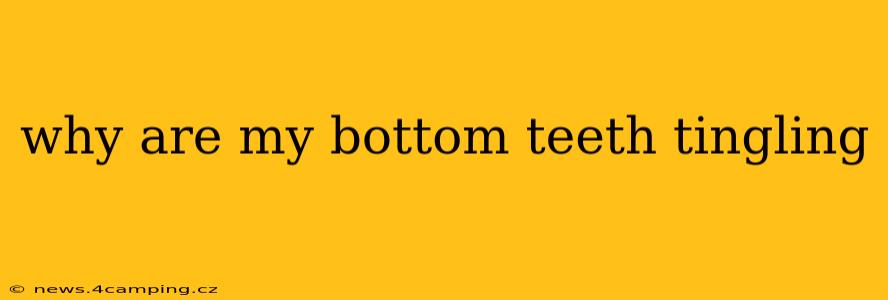why are my bottom teeth tingling