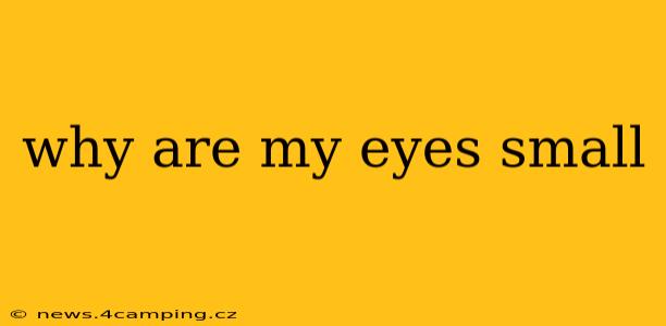 why are my eyes small