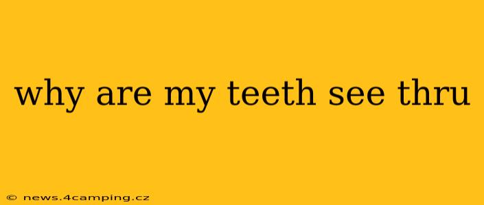 why are my teeth see thru
