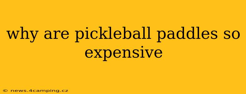 why are pickleball paddles so expensive