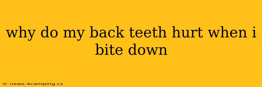 why do my back teeth hurt when i bite down