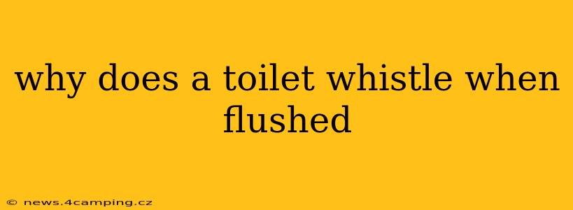 why does a toilet whistle when flushed