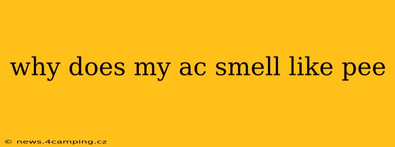 why does my ac smell like pee
