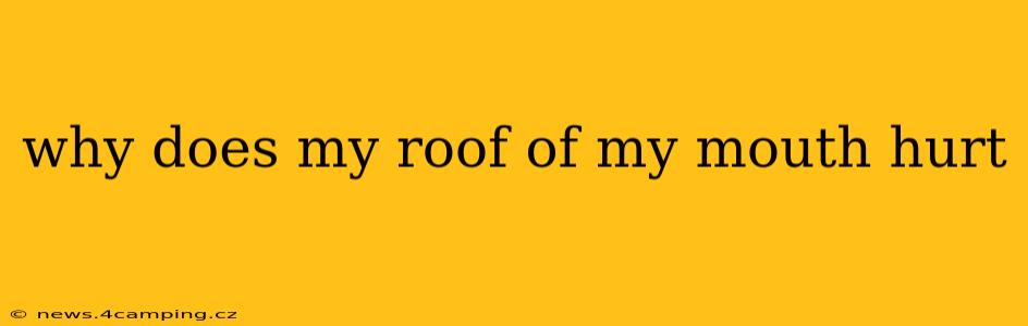 why does my roof of my mouth hurt