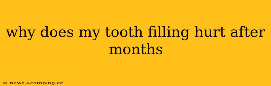 why does my tooth filling hurt after months