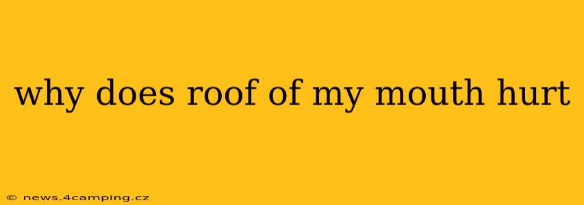 why does roof of my mouth hurt