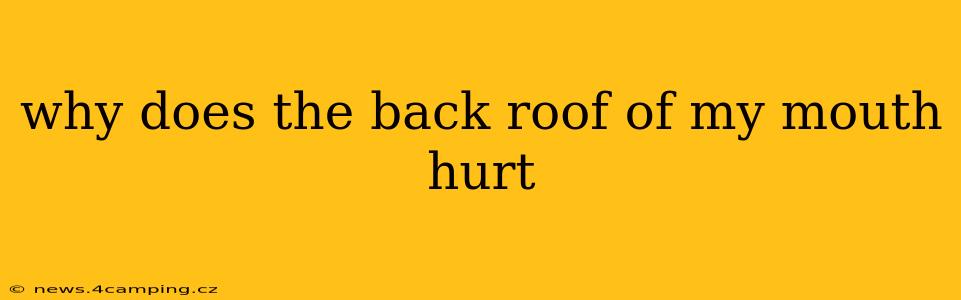 why does the back roof of my mouth hurt