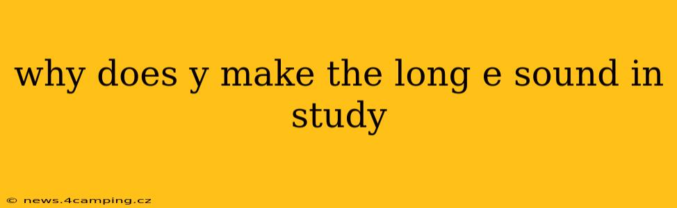 why does y make the long e sound in study