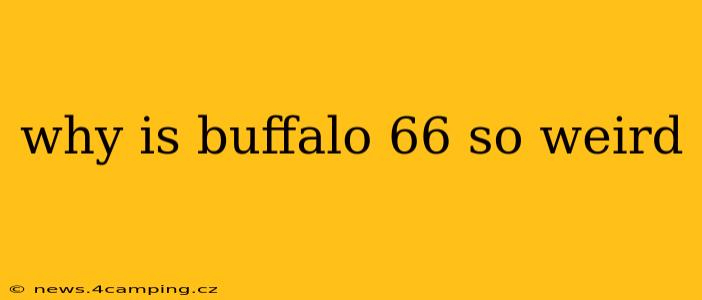 why is buffalo 66 so weird