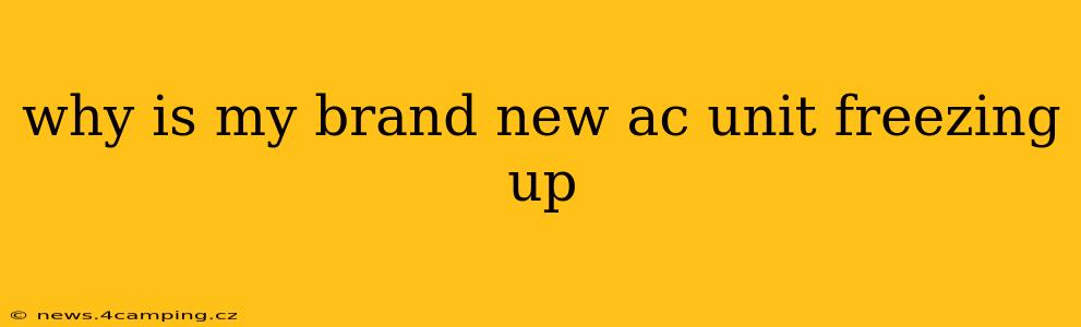 why is my brand new ac unit freezing up