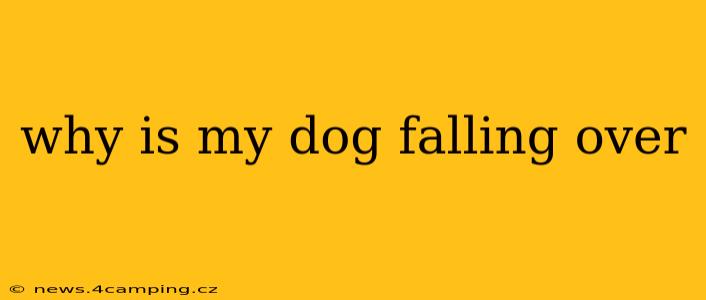 why is my dog falling over