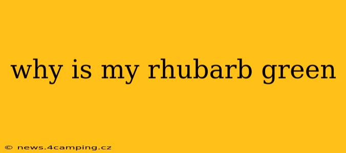 why is my rhubarb green