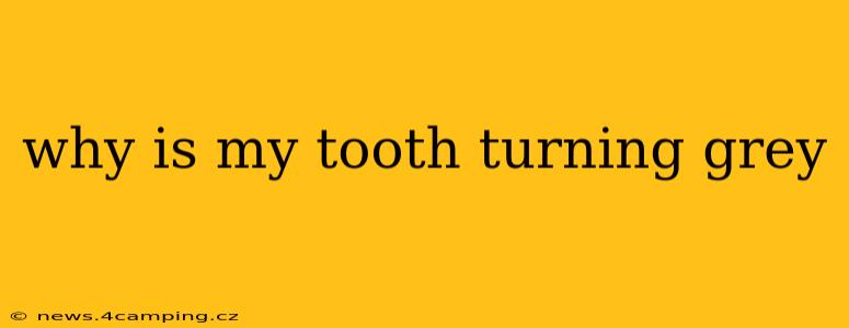 why is my tooth turning grey