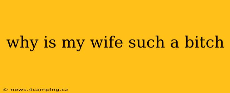 why is my wife such a bitch