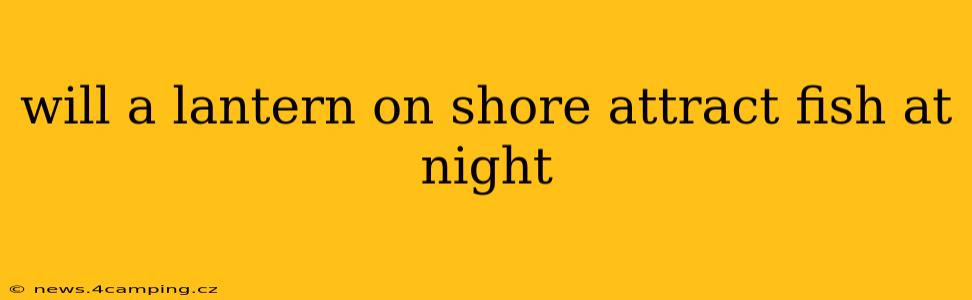 will a lantern on shore attract fish at night