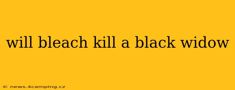 will bleach kill a black widow