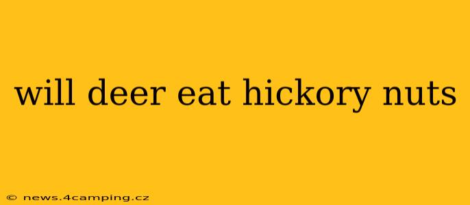 will deer eat hickory nuts