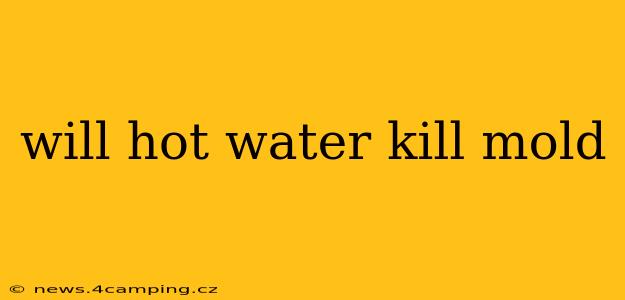 will hot water kill mold