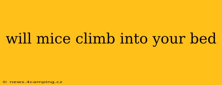 will mice climb into your bed