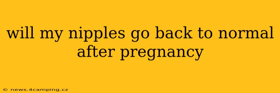 will my nipples go back to normal after pregnancy