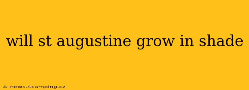 will st augustine grow in shade