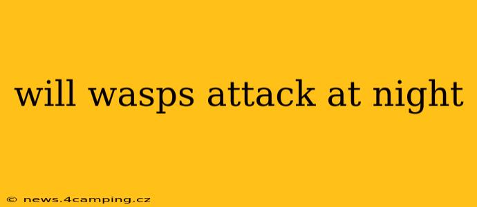 will wasps attack at night