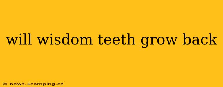 will wisdom teeth grow back