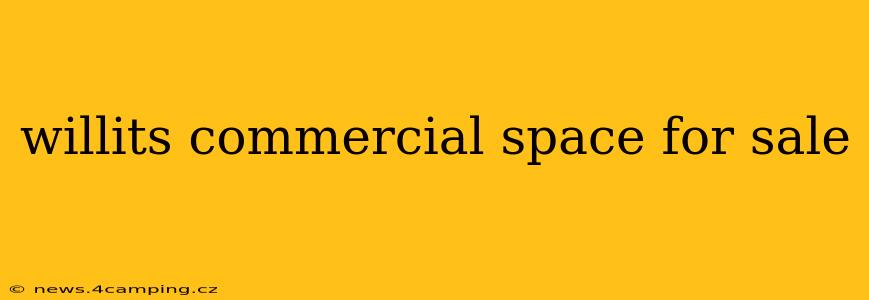 willits commercial space for sale