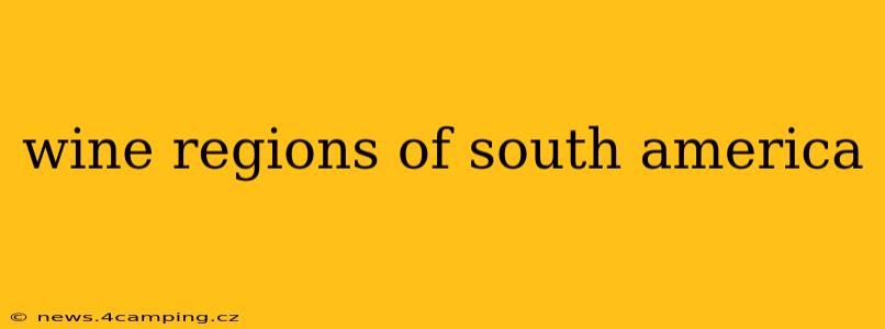 wine regions of south america