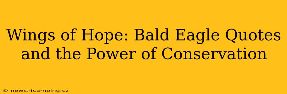 Wings of Hope: Bald Eagle Quotes and the Power of Conservation