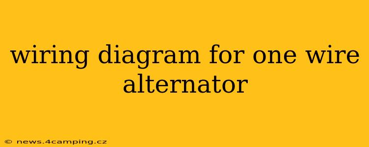 wiring diagram for one wire alternator