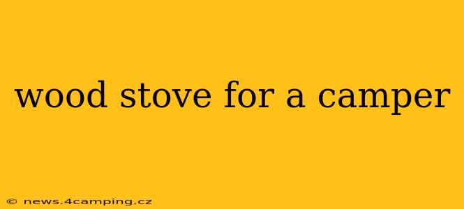 wood stove for a camper