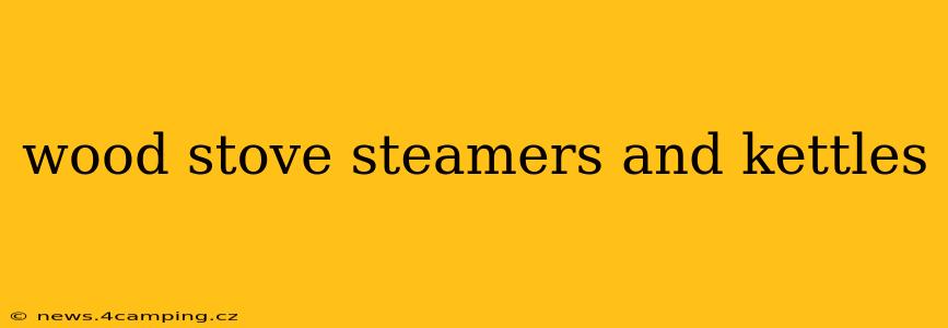 wood stove steamers and kettles