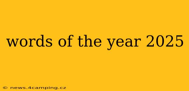 words of the year 2025
