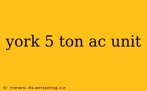 york 5 ton ac unit