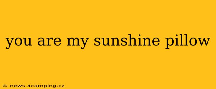 you are my sunshine pillow